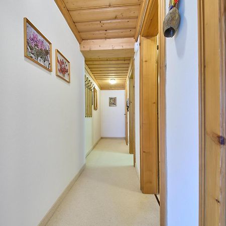 Appartements Bernhofer 萨尔巴赫 外观 照片